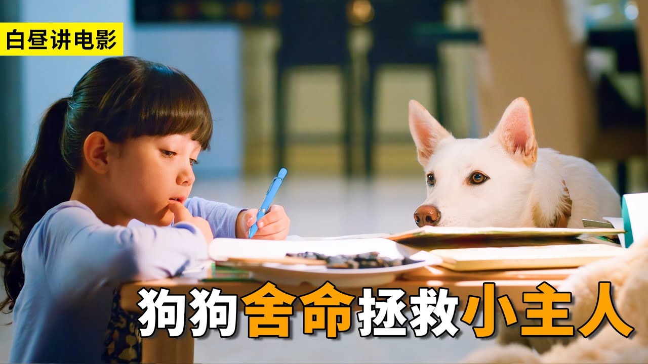 狗狗為了答謝報恩，從女孩出生就陪伴，最終舍命拯救小主人！