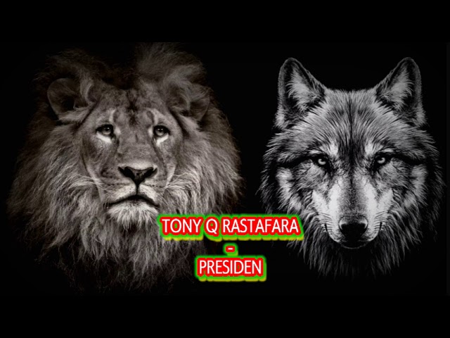 TONY Q RASTAFARA - PRESIDEN class=