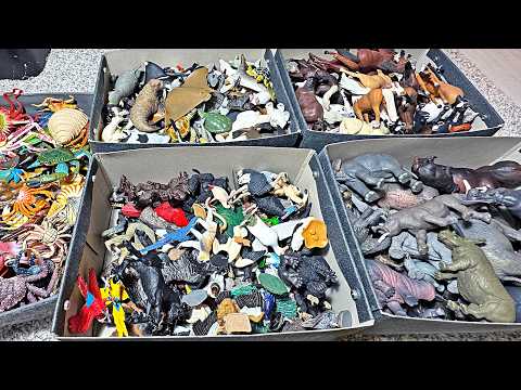 1000 Sea Animals, Horses, Birds, Primates, Rhinos, Elephants, Hippos, Crabs, Octopus, Spider Crab