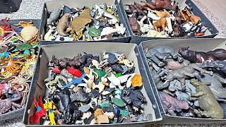 1000 Sea Animals, Horses, Birds, Primates, Rhinos, Elephants, Hippos, Crabs, Octopus, Spider Crab