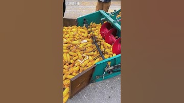 Fully automatic corn thresher "new corn thresher" large corn thresher manufacturer direct sales .