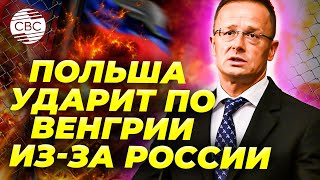 В Польше призвали ударить по «Дружбе». Еще один «удар» по суверенитету Венгрии