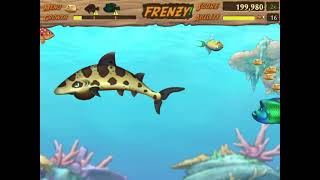 Feeding Frenzy 2 - Layla