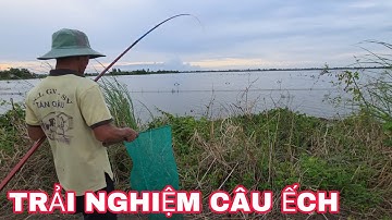 Trải nghiệm " CÂU ẾCH MÙA NƯỚC NỔI" tại sao khi câu Ếch không cần lưỡi câu? Nướng Ếch thưởng thức!