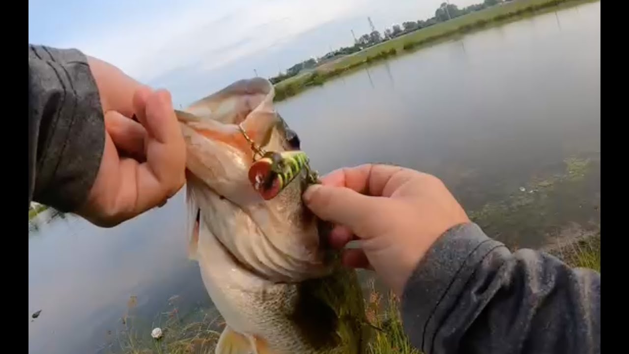 New homemade lure: Big Bass Approved!