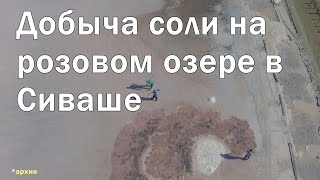 Как раньше добывали соль на Розовом озере