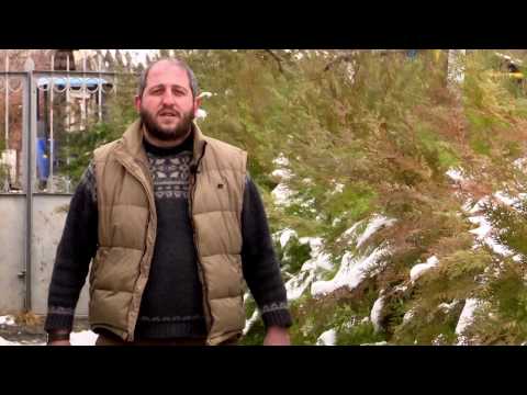 ეთნოფორი • etnopori (ანონსი/გადაცემა ოთხმოცდამეცხრე) 09.03.2017წ.