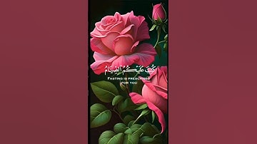 يأيها الذين آمنوا 💞 راحة النفسيه تلاوة خاشعة حالات واتس اب قرآن