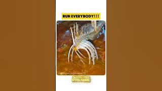 RUN BRO‼️EREN IS COMING #trendingshorts #anime #attackontitan #america