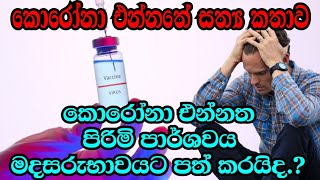 The Impact of Corona vaccine on Male Persons | කොරෝනා එන්නත පිරිමි පාර්ශවය මදසරුභාවයට පත් කරයිද.