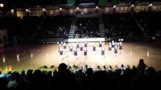 Airedale Dazzlers Pom Routine 1/21/14