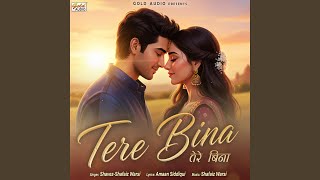 Tere Bina