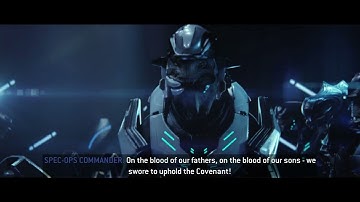 you are the arbiter but these are my elites said the shipmaster formally spec ops commander halo 2