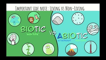 Lesson 2 and Assignment 2: Interactions and Ecosystems
