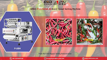 AMD® P-LGS4 AI Color Sorter Food Industry Sortex Machine Price for Fresh Red Chili Pepper Sorting