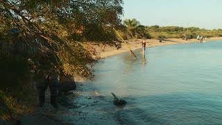 This Game Warden Is Fishing For Flounder Poachers | Lone Star Law This Game Warden Is Fishing For Flounder Poachers | Lone Star Law