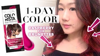 Honest Review] L'oreal COLORISTA Hair Makeup 1-Day Color - for Brunettes -  Watch til the end!!!! - YouTube