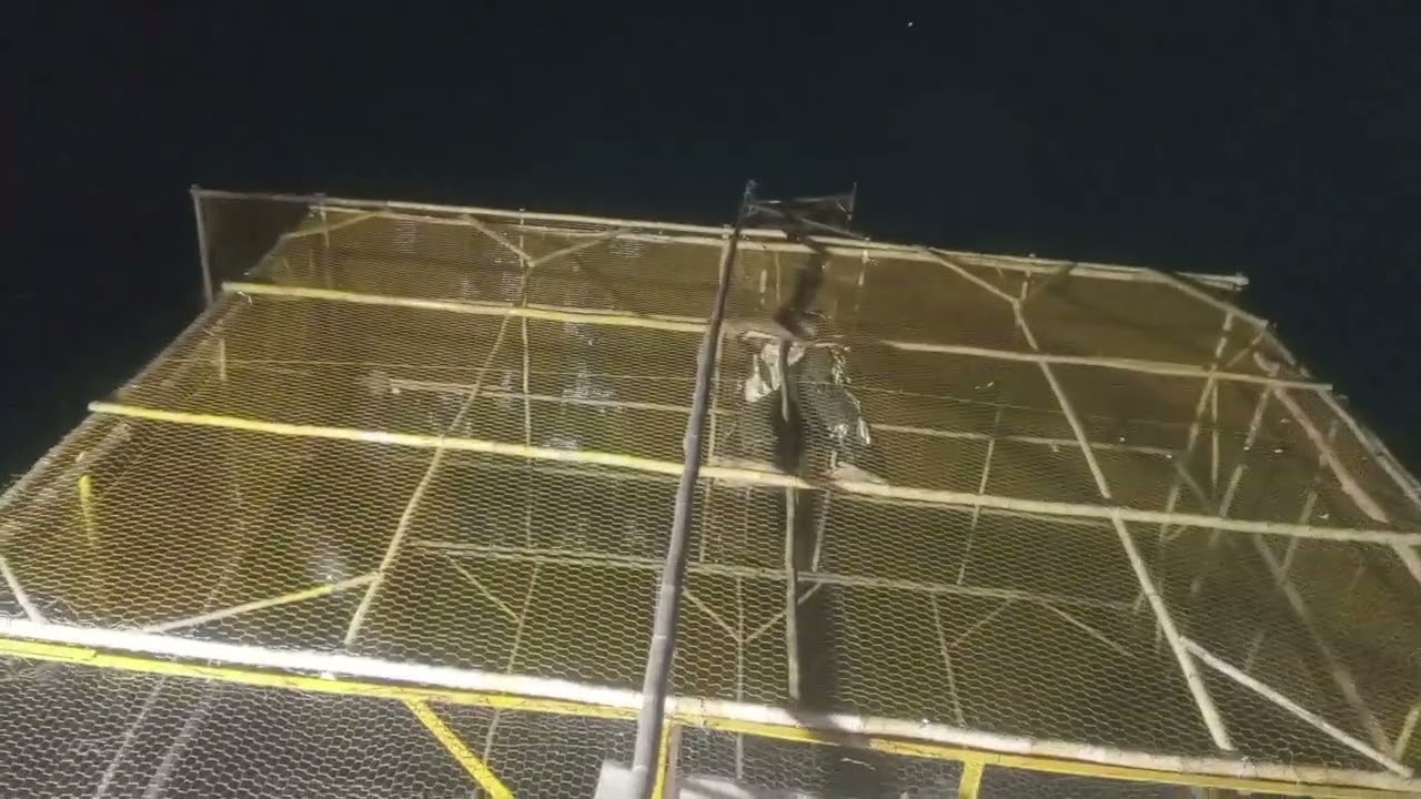 @# ماشاءاللّہ جی ہمارا جال مکمل ہو گیا