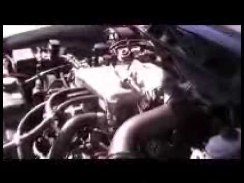 Kenny Brown P2 Panther You Kenny Brown P2 Panther