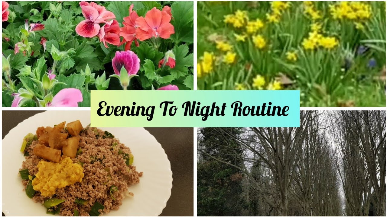 Evening To Night Routine Tamil/ Shopping haul garden related