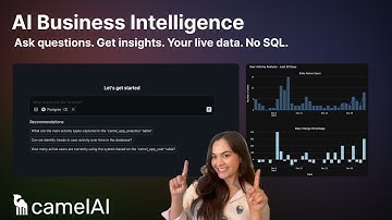 camelAI: AI Business Data Intelligence