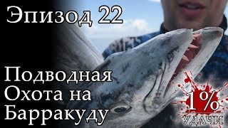1% УДАЧИ. Эпизод 022. Подводная охота на барракуду в тропических водах Флориды(, 2017-10-30T14:37:23.000Z)