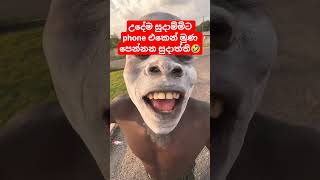 සදතතග මණතතහඩව