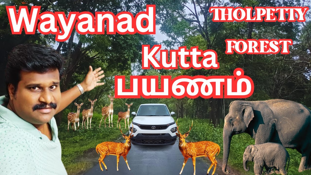 🔥Wayanad To Tholpetty Forest Travel #vinothvlog