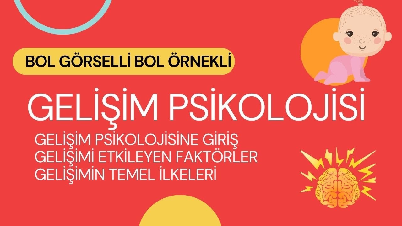 1.Gelişim Psikolojisine Giriş Gelişimi Etkileyen Faktörler Temel ...
