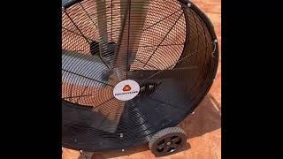 36” County Line Fan Tractor Supply