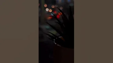 على بالي ولا انت داري باللي جرالي حالات حالات واتس غريب ال مخلص على بالي 