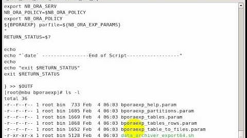 04 Oracle_backup_sample.script.wmv