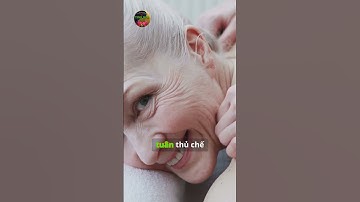 Top 3 Dầu Ăn Giảm Viêm Tốt Nhất Sau Tuổi 50 – Bác Sĩ Khuyên Dùng