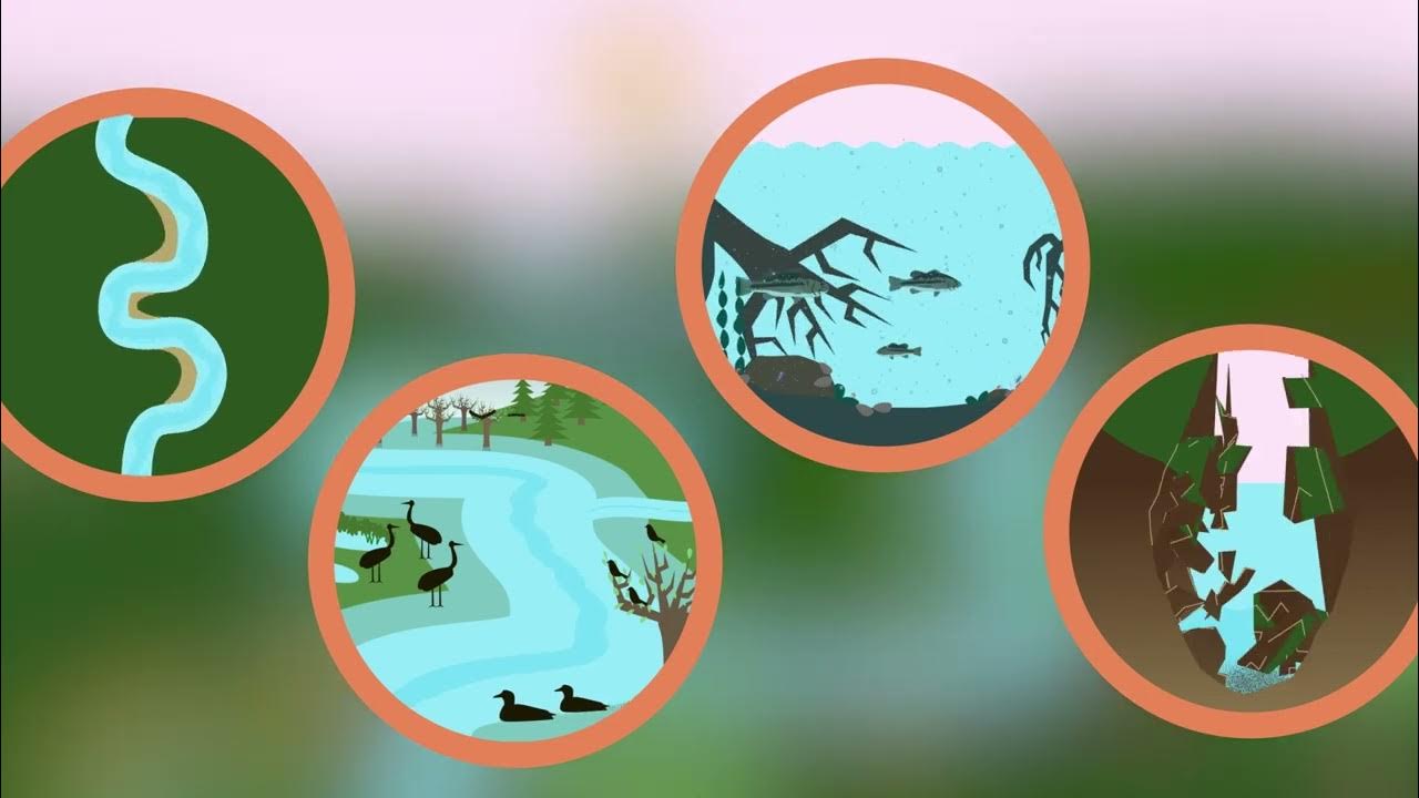 Our River Connection - YouTube