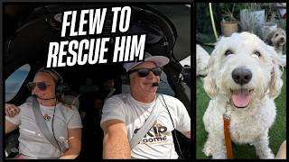 I Flew My Vision Jet to Los Angeles to Rescue a Goldendoodle