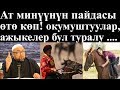 Созсуз коргуло! Жылкынын турдуу пайдаларын ажыкелер жана окумуштуулар айтышат.