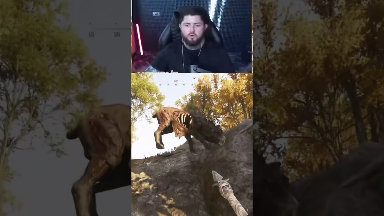 Летающий ротвейлер😬 