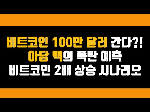 비트코인 100만 달러 간다 아담 백의 충격 발언