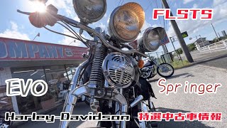 FLSTS Springer #harleydavidson EVOLUTION 紹介【B.B.カンパニー】千葉県市原市草刈より スプリンガー エボリューション #evolution 特選中古車