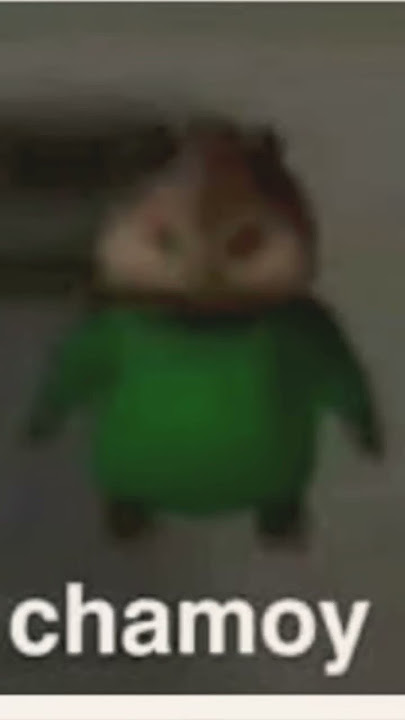 xhamoy