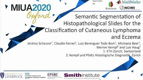 MIUA 2020: Semantic Segmentation of Histopathological Slides for the Classification of Cutaneous