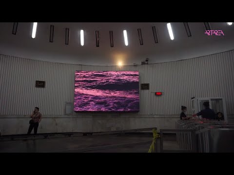 მიშიკო სულაკაური - Offshore