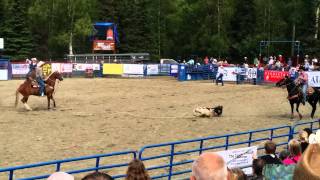 Rodeo Alaska 2014 in anchorage Team Roping