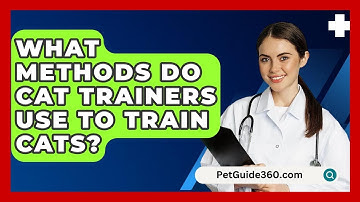 What Methods Do Cat Trainers Use to Train Cats? - PetGuide360.com