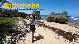 Walking the Bathsheba Coast