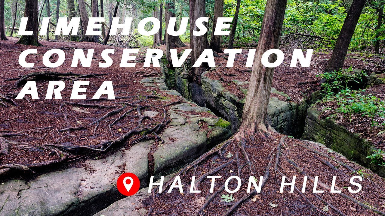 Limehouse Conservation Area | Free to public | Great place for hiking