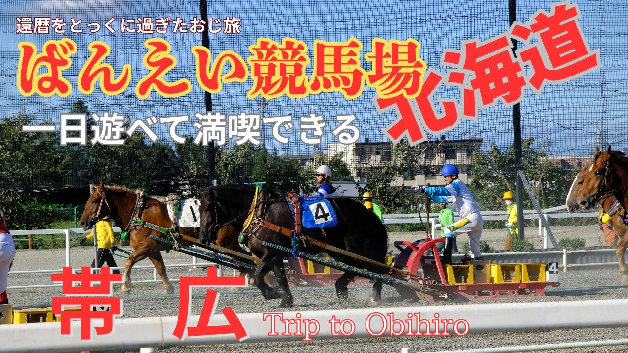 【帯広】２日目ばんえい競馬場に行ってきました。一日中居ても楽しめます