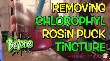 I Removed ALL the Chlorophyll from My Tincture… The Result BLEW My Mind 🤯