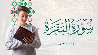 Surah Al Baqarah - Ahmed Alshafey | سورة البقرة -كاملة- القارئ أحمد الشافعي
