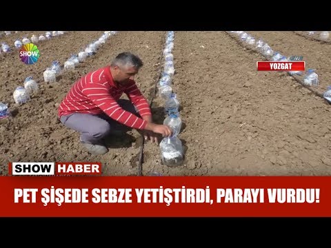 Pet şişede sebze yetiştirdi, parayı vurdu!